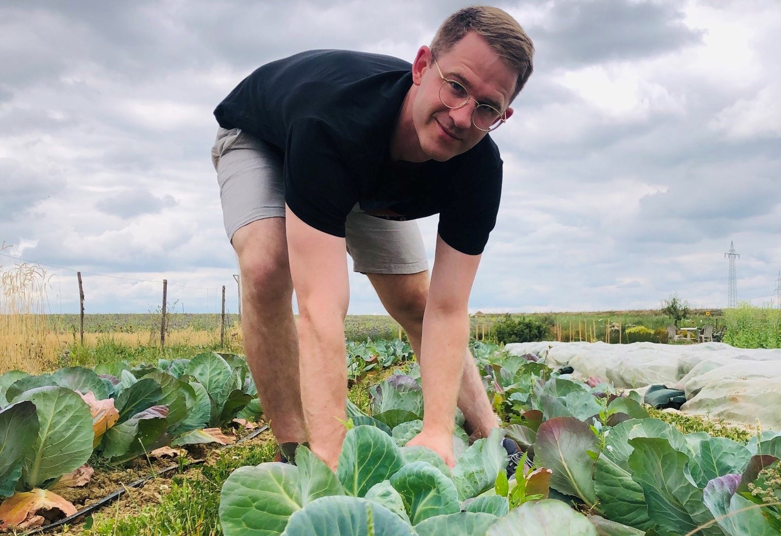 Heiner Bohnet beim Spitzkohl ernten