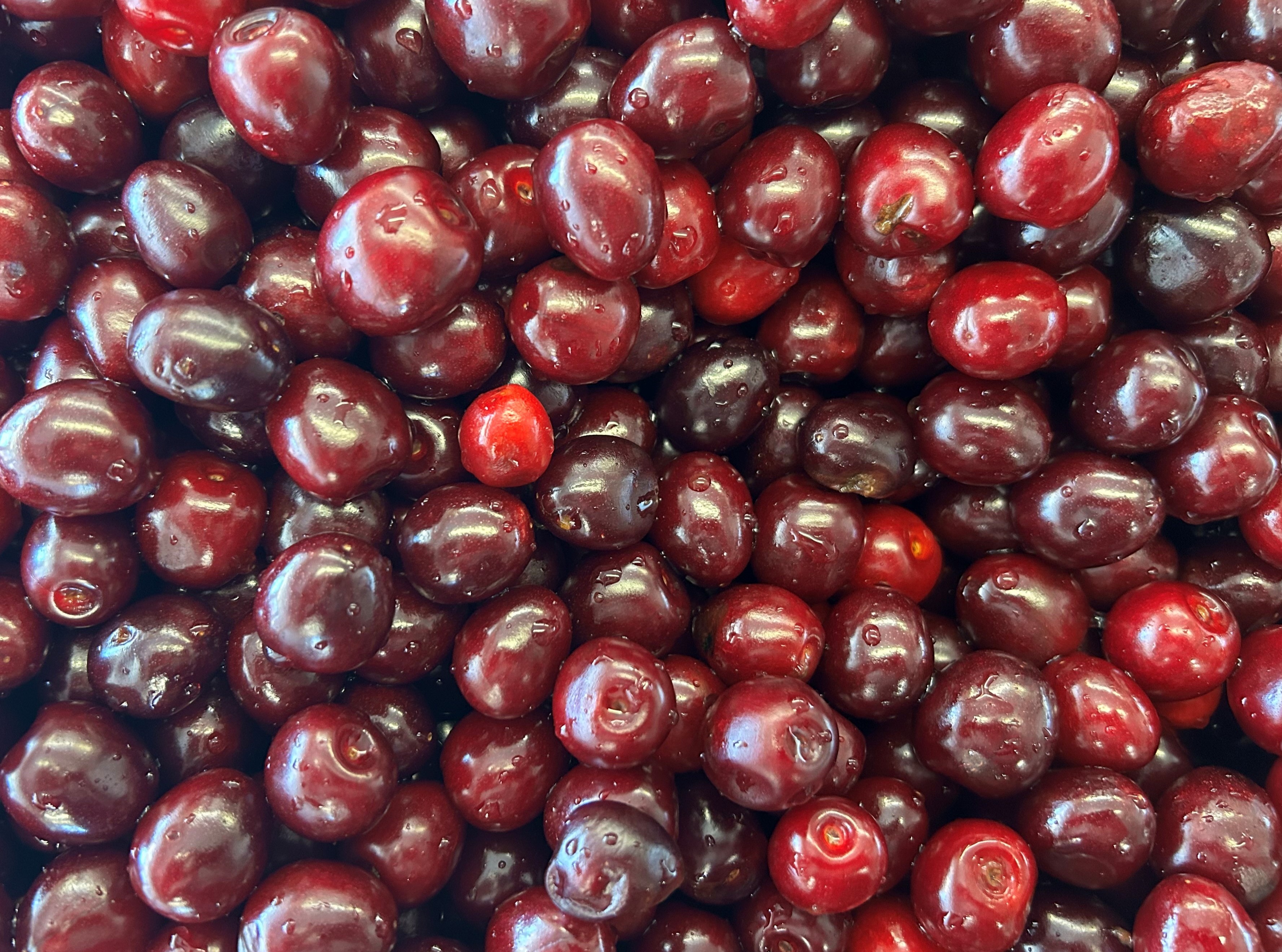 Knorpelkirschen